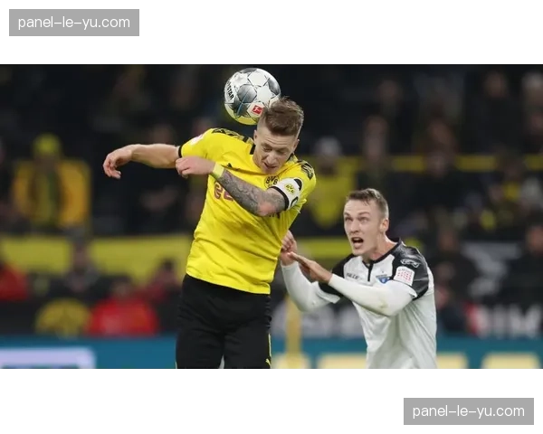 纪录片《威斯特法伦的声浪》上映，聚焦多特南看台文化