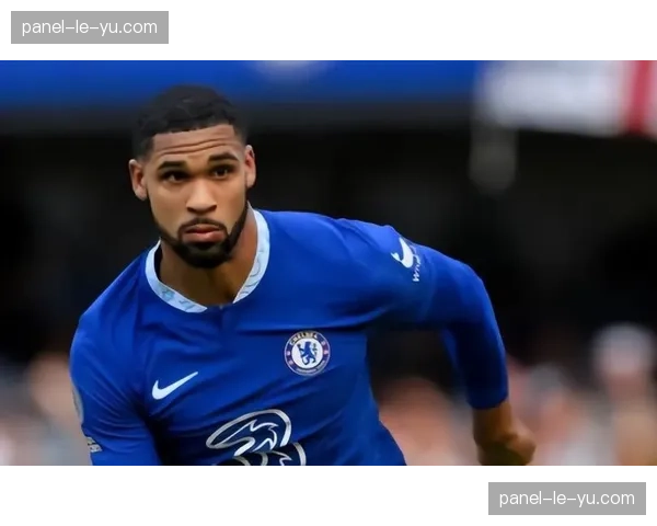 英格兰足球总会就托纳利赌博案做出最终处罚决定